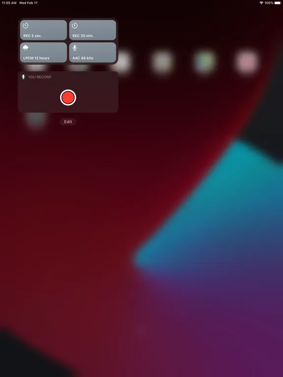 تصاویر You Record Pro iPad 